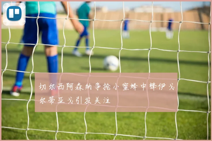 切尔西阿森纳争抢小蜜蜂中锋伊戈尔蒂亚戈引发关注