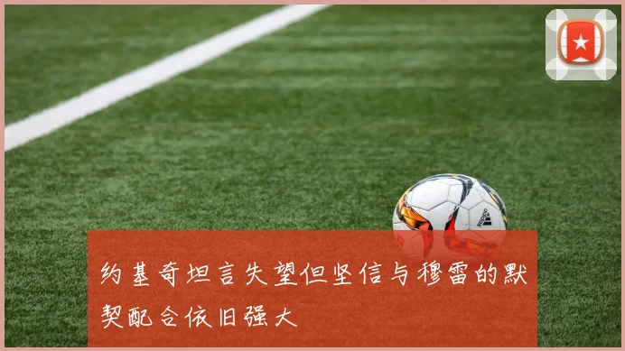 约基奇坦言失望但坚信与穆雷的默契配合依旧强大